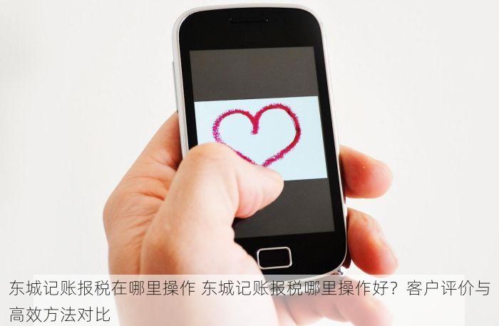 东城记账报税在哪里操作 东城记账报税哪里操作好？客户评价与高效方法对比