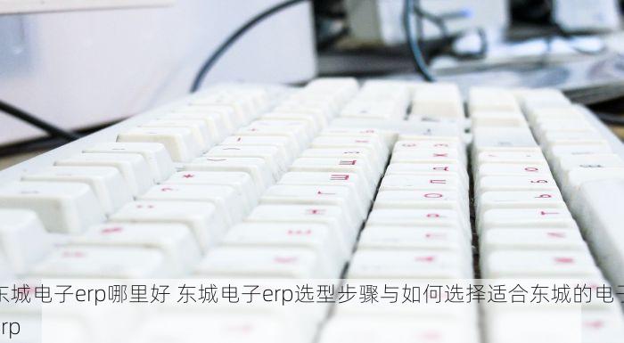 东城电子erp哪里好 东城电子erp选型步骤与如何选择适合东城的电子erp