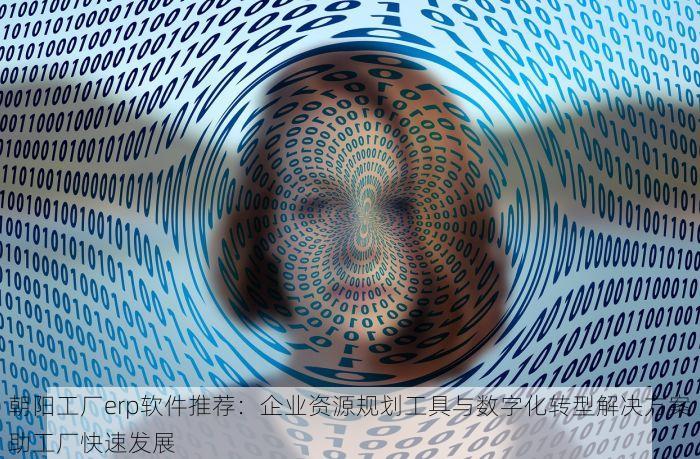 朝阳工厂erp软件推荐：企业资源规划工具与数字化转型解决方案助工厂快速发展