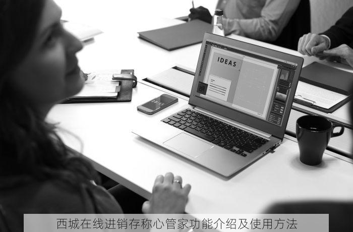 西城在线进销存称心管家功能介绍及使用方法