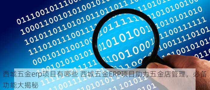 西城五金erp项目有哪些 西城五金ERP项目助力五金店管理，必备功能大揭秘