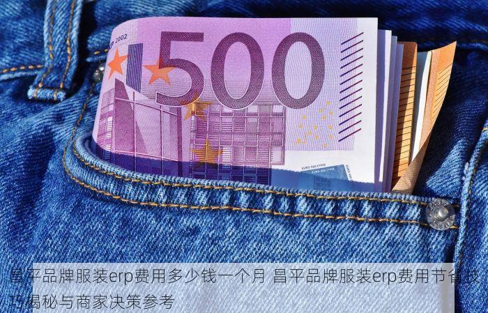 昌平品牌服装erp费用多少钱一个月 昌平品牌服装erp费用节省技巧揭秘与商家决策参考