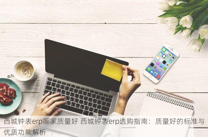西城钟表erp哪家质量好 西城钟表erp选购指南：质量好的标准与优质功能解析