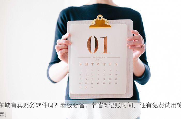 东城有卖财务软件吗？老板必备，节省%记账时间，还有免费试用惊喜！
