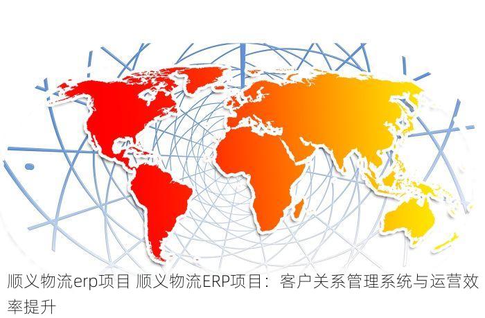 顺义物流erp项目 顺义物流ERP项目：客户关系管理系统与运营效率提升