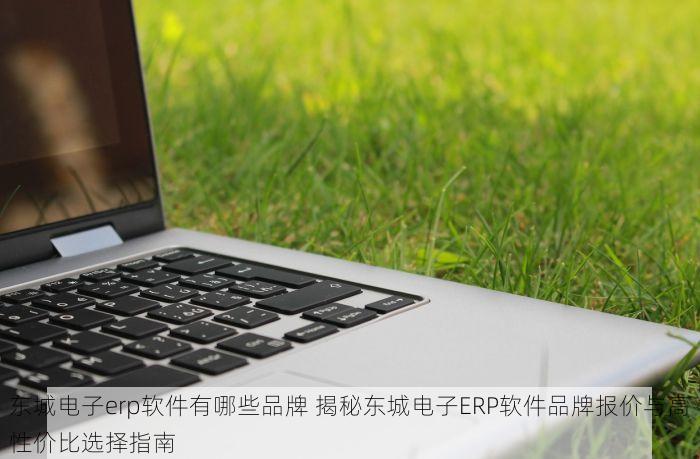 东城电子erp软件有哪些品牌 揭秘东城电子ERP软件品牌报价与高性价比选择指南