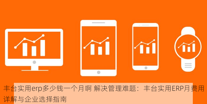 丰台实用erp多少钱一个月啊 解决管理难题：丰台实用ERP月费用详解与企业选择指南
