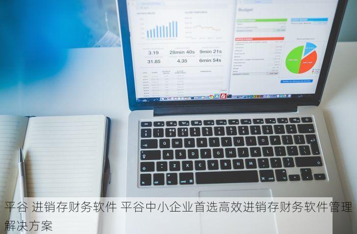 平谷 进销存财务软件 平谷中小企业首选高效进销存财务软件管理解决方案