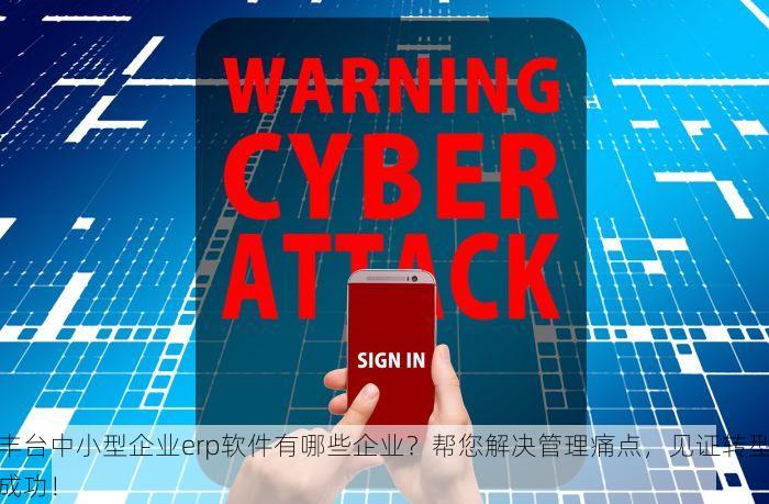 丰台中小型企业erp软件有哪些企业？帮您解决管理痛点，见证转型成功！