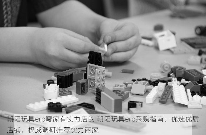朝阳玩具erp哪家有实力店的 朝阳玩具erp采购指南：优选优质店铺，权威调研推荐实力商家