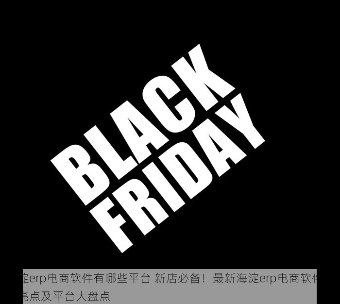 海淀erp电商软件有哪些平台 新店必备！最新海淀erp电商软件功能亮点及平台大盘点