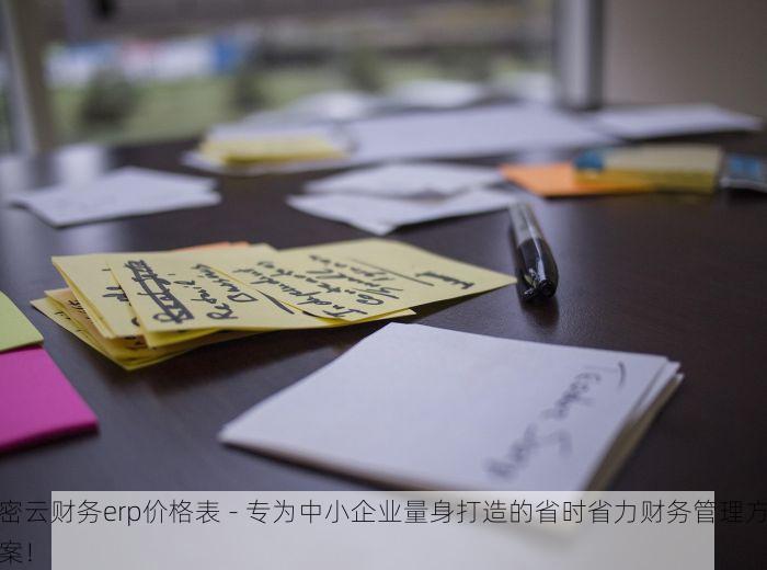 密云财务erp价格表 - 专为中小企业量身打造的省时省力财务管理方案！
