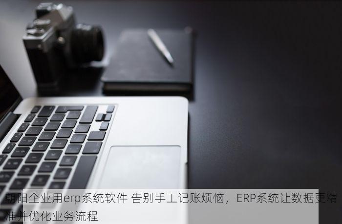 朝阳企业用erp系统软件 告别手工记账烦恼，ERP系统让数据更精准并优化业务流程