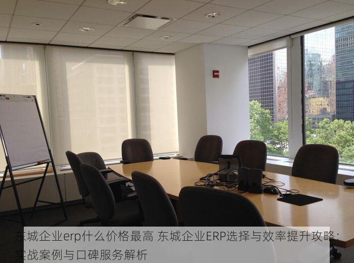 东城企业erp什么价格最高 东城企业ERP选择与效率提升攻略：实战案例与口碑服务解析