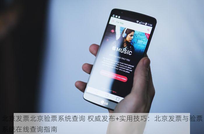北京发票北京验票系统查询 权威发布+实用技巧：北京发票与验票系统在线查询指南