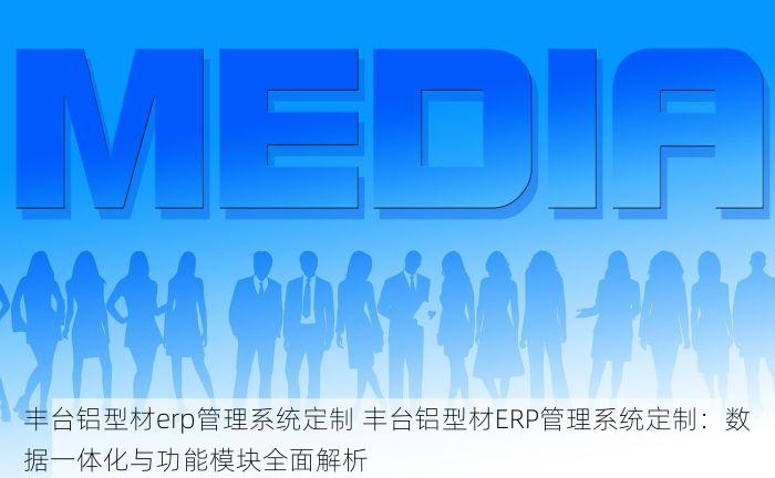 丰台铝型材erp管理系统定制 丰台铝型材ERP管理系统定制：数据一体化与功能模块全面解析