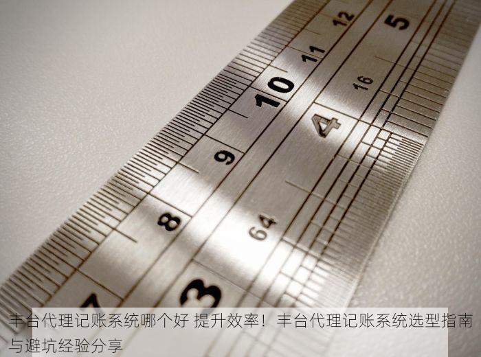 丰台代理记账系统哪个好 提升效率！丰台代理记账系统选型指南与避坑经验分享