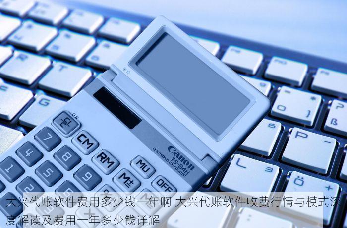 大兴代账软件费用多少钱一年啊 大兴代账软件收费行情与模式深度解读及费用一年多少钱详解