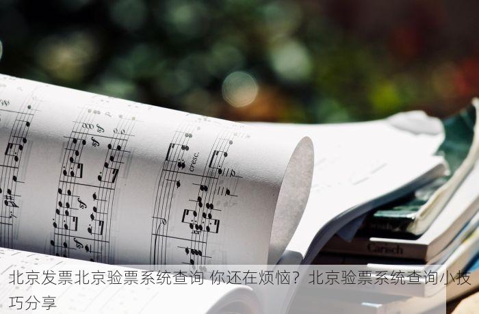 北京的发票北京系统里没有简单几步轻松应对！