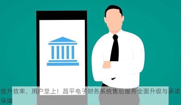 提升效率，用户至上！昌平电子财务系统售后服务全面升级与承诺保障