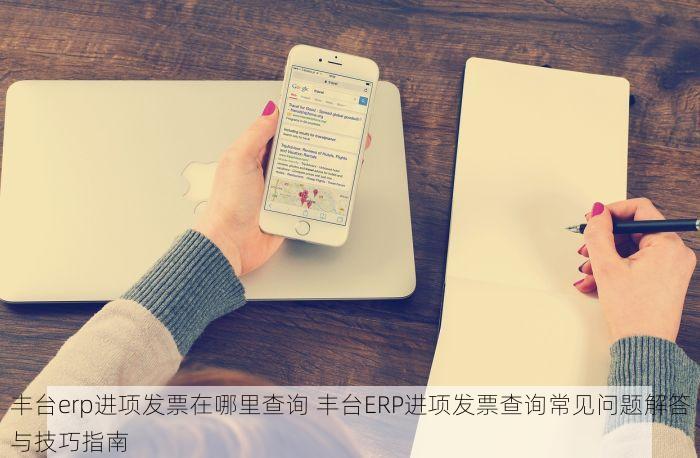 丰台erp进项发票在哪里查询 丰台ERP进项发票查询常见问题解答与技巧指南