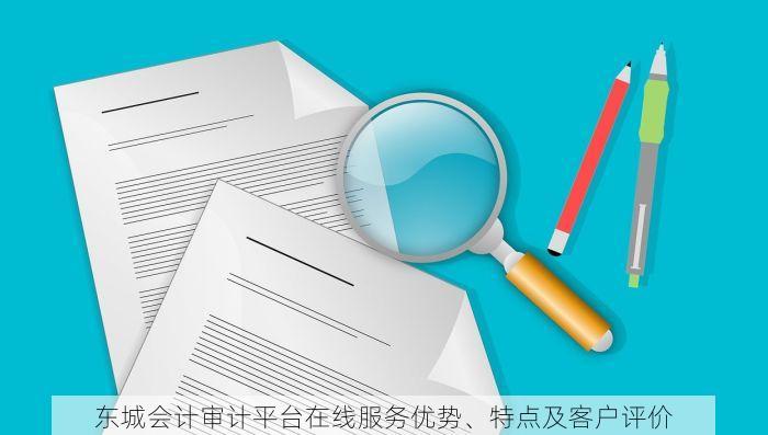 东城会计审计平台在线服务优势、特点及客户评价