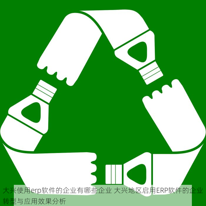 大兴使用erp软件的企业有哪些企业 大兴地区启用ERP软件的企业转型与应用效果分析