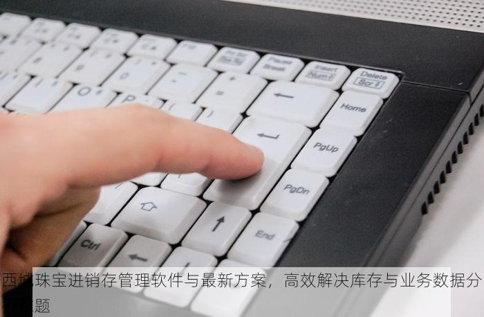 西城珠宝进销存管理软件与最新方案，高效解决库存与业务数据分析难题