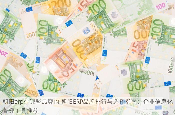 朝阳erp有哪些品牌的 朝阳ERP品牌排行与选择指南：企业信息化管理工具推荐