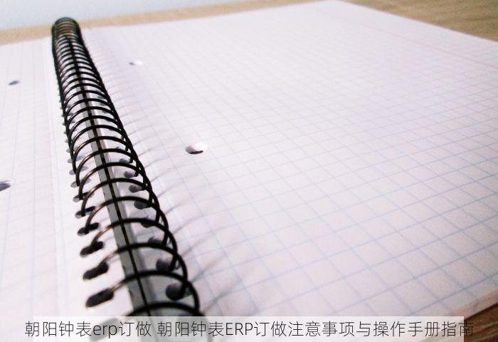 朝阳钟表erp订做 朝阳钟表ERP订做注意事项与操作手册指南