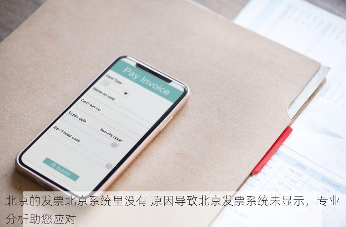 北京的发票北京系统里没有 原因导致北京发票系统未显示，专业分析助您应对