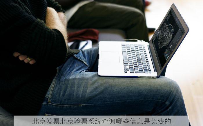 北京发票北京验票系统查询哪些信息是免费的