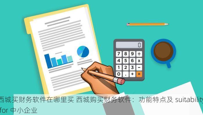 西城买财务软件在哪里买 西城购买财务软件：功能特点及 suitability for 中小企业