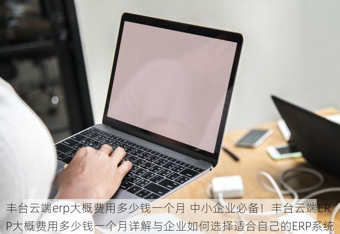 丰台云端erp大概费用多少钱一个月 中小企业必备！丰台云端ERP大概费用多少钱一个月详解与企业如何选择适合自己的ERP系统