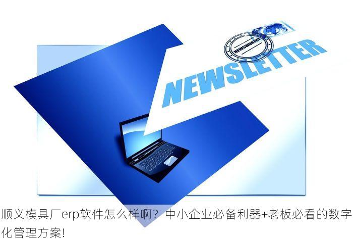 顺义模具厂erp软件怎么样啊？中小企业必备利器+老板必看的数字化管理方案!