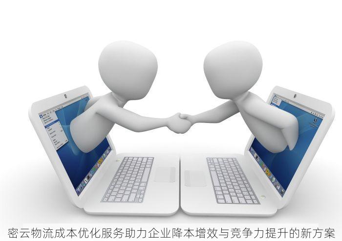 北京的发票北京系统里没有 北京发票异常？别慌，专业指导帮您高效处理