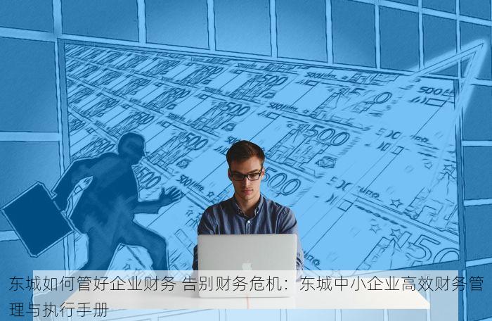 东城如何管好企业财务 告别财务危机：东城中小企业高效财务管理与执行手册
