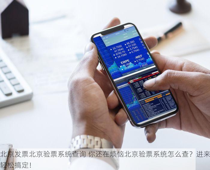 北京发票北京验票系统查询 你还在烦恼北京验票系统怎么查？进来轻松搞定！