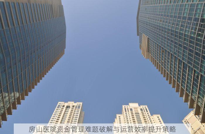 房山医院资金管理难题破解与运营效率提升策略