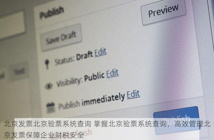北京发票北京验票系统查询 掌握北京验票系统查询，高效管理北京发票保障企业财税安全