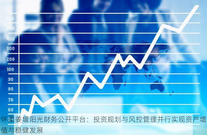 怀柔姜堰阳光财务公开平台：投资规划与风控管理并行实现资产增值与稳健发展