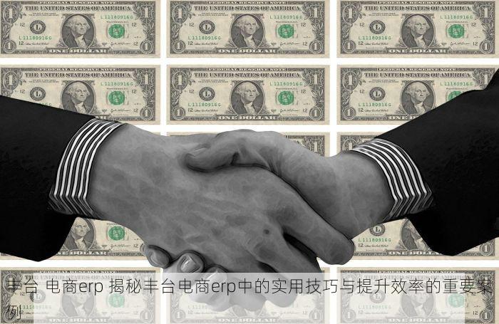 丰台 电商erp 揭秘丰台电商erp中的实用技巧与提升效率的重要案例
