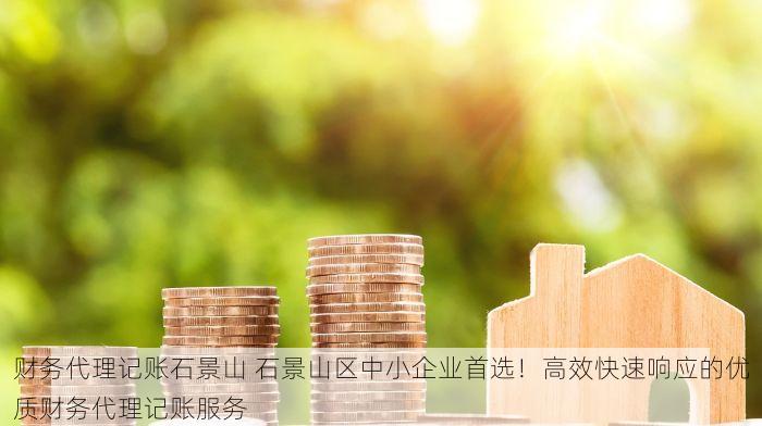 财务代理记账石景山 石景山区中小企业首选！高效快速响应的优质财务代理记账服务