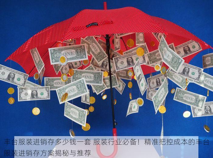 丰台服装进销存多少钱一套 服装行业必备！精准把控成本的丰台服装进销存方案揭秘与推荐