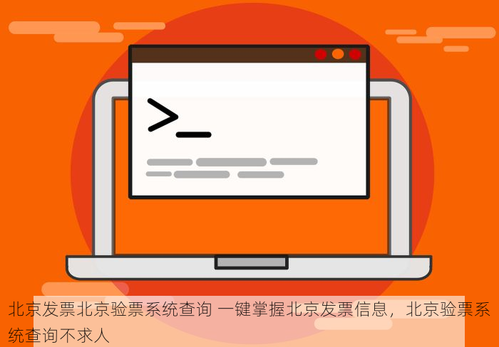 北京发票北京验票系统查询 一键掌握北京发票信息，北京验票系统查询不求人