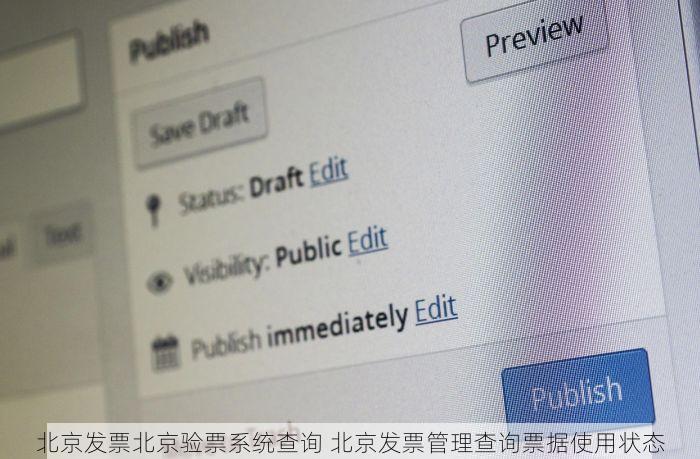 北京发票北京验票系统查询 北京发票管理查询票据使用状态