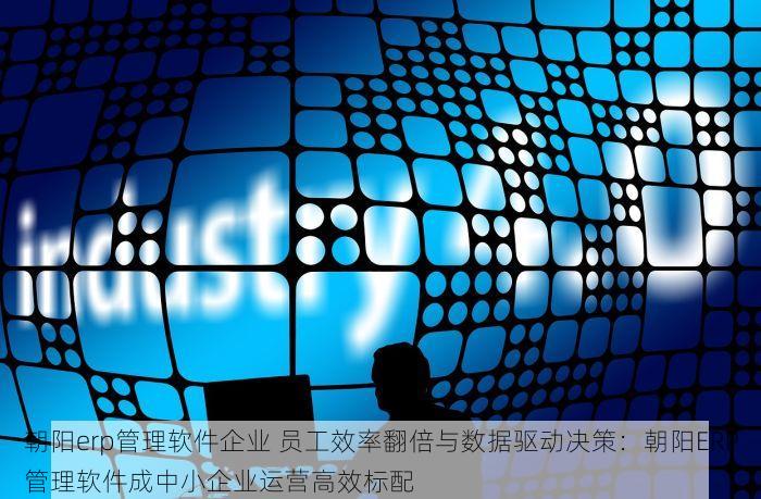 朝阳erp管理软件企业 员工效率翻倍与数据驱动决策：朝阳ERP管理软件成中小企业运营高效标配
