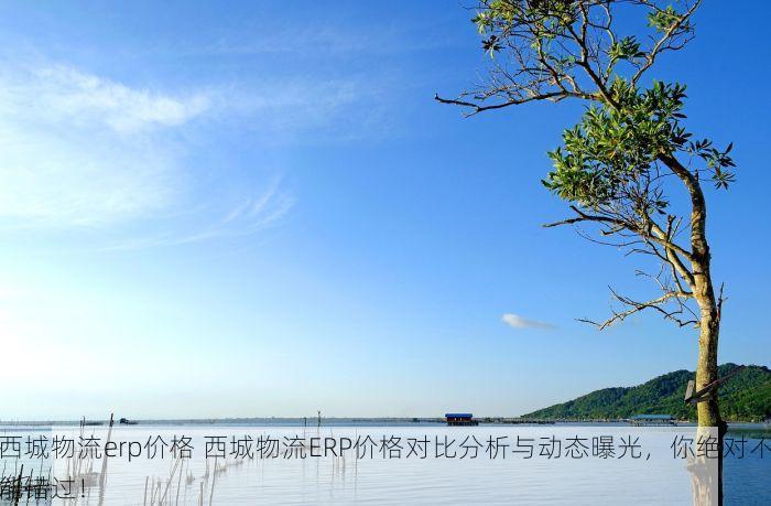 西城物流erp价格 西城物流ERP价格对比分析与动态曝光，你绝对不能错过！