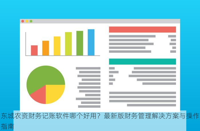 东城农资财务记账软件哪个好用？最新版财务管理解决方案与操作指南