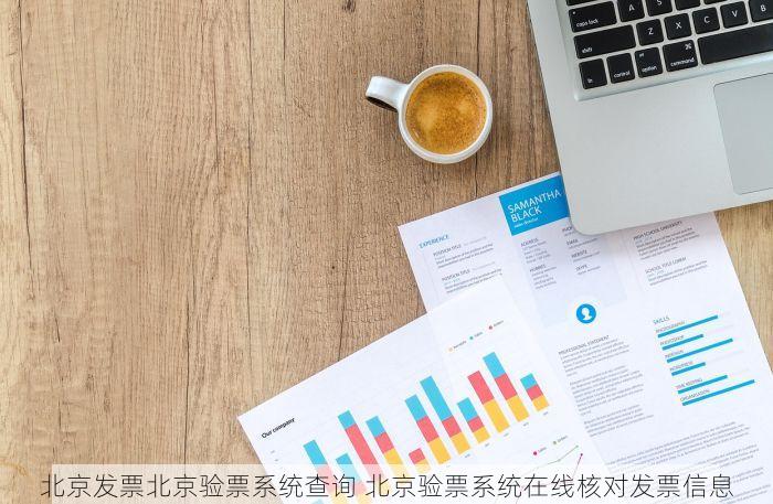 北京发票北京验票系统查询 北京验票系统在线核对发票信息